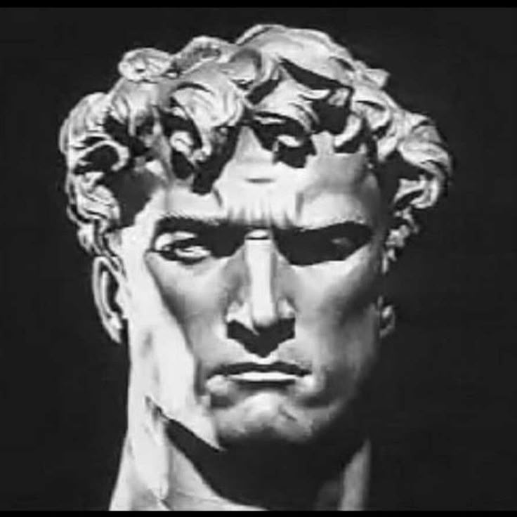 Primal Thrive Full Bundle – Testosterone, Growth, Aesthetics & Gut Health (₨ 1,290)