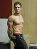 Ultimate Gymmaxing Bundle – All Top Trainer Programs in One Mega Pack (Full Access)