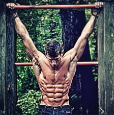 Ultimate Gymmaxing Bundle – All Top Trainer Programs in One Mega Pack (Full Access)