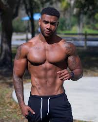 Ultimate Gymmaxing Bundle – All Top Trainer Programs in One Mega Pack (Full Access)